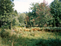 Ängstugan