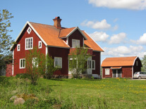 Danevik 1:4