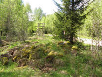 Ekkullen