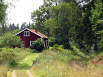 Ektorp
