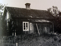 Näset